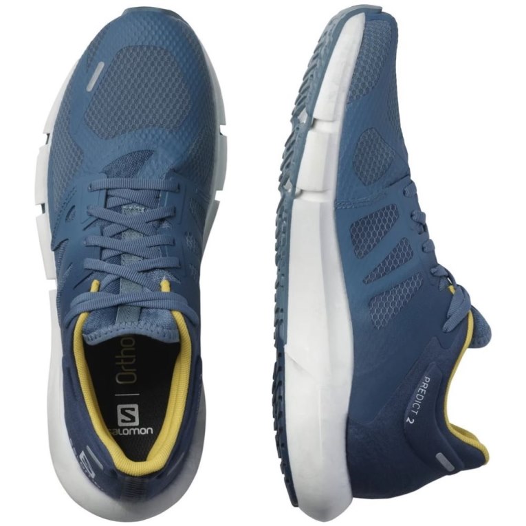 Blue Salomon Predict 2 Men's Running Shoes | IE UR9271